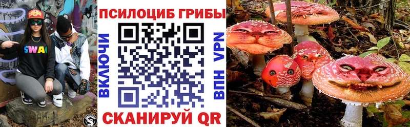 мега вход  Малгобек  Галлюциногенные грибы Cubensis 